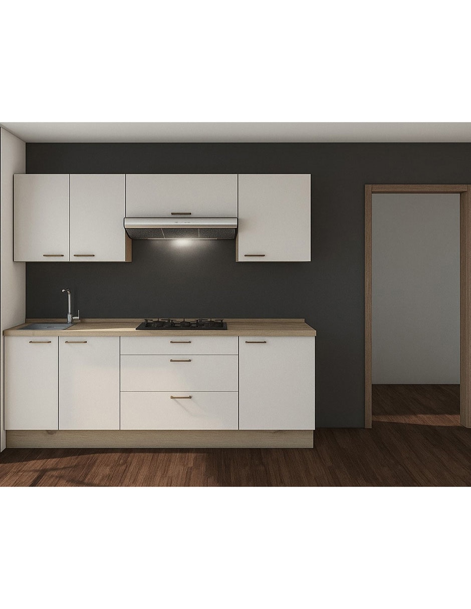 "cocina integral" 1
